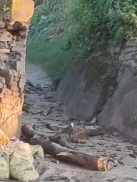 सांई मंदिर के समीप टूटी जर्जर पेड़ों की टहनियां, बिजली लाईन ब्लास्ट, दहशत में लोग, क्या किसी हादसे के इंतजार में हैं जिम्मेदार विभाग 2 Screenshot 2024 0905 202116