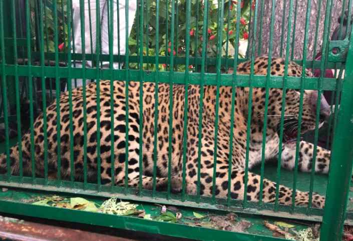 Screenshot 2024 1018 090119