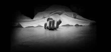 Two innocent people lost their lives in the attack of wasps, two women along with a child were injured