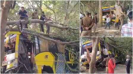Major accident in Uttarakhand: Private bus met with an accident, 50 pilgrims were on board