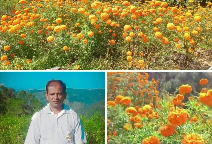 Screenshot 2024 1101 161600