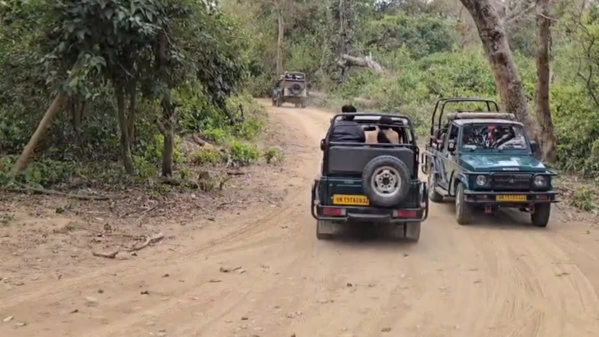 1200 675 23769451 thumbnail 16x9 pic n