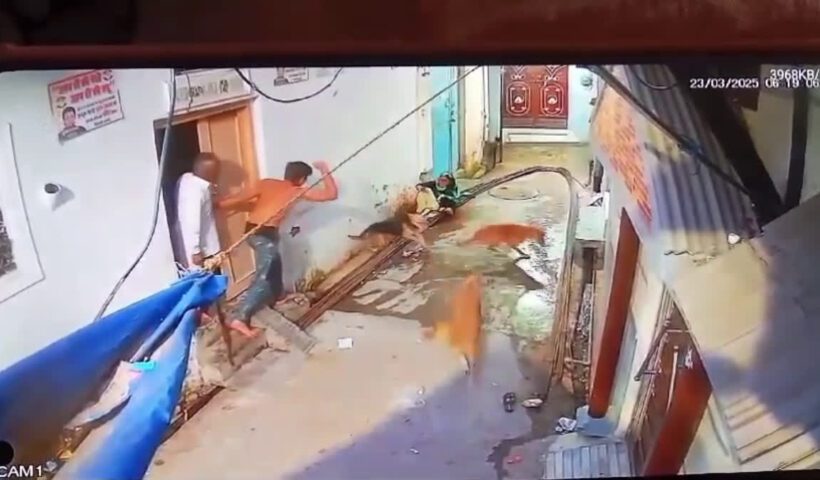 1200 675 23807511 thumbnail 16x9