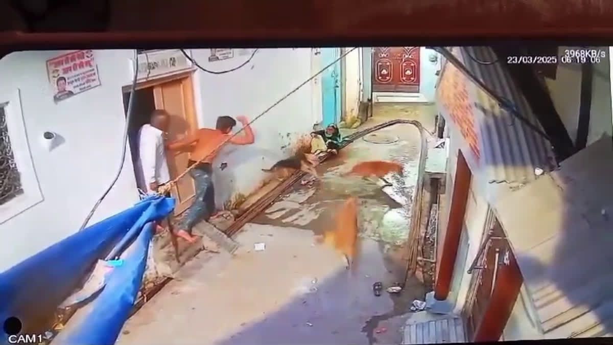 1200 675 23807511 thumbnail 16x9