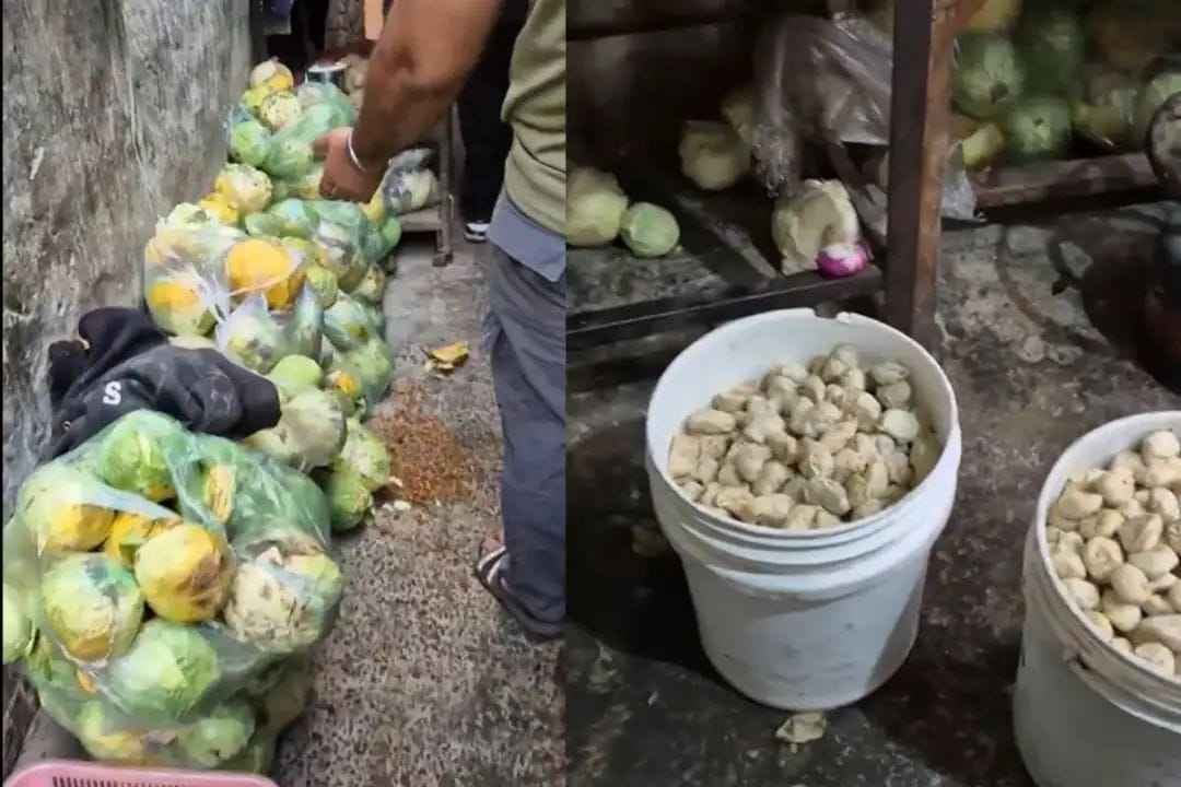 Rotten vegetables, masala full of insects and fear of severed heads… the dirty truth of Mohali’s momos factory
