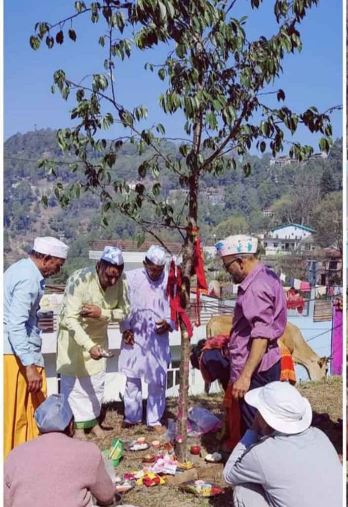 Screenshot 2025 0309 131212