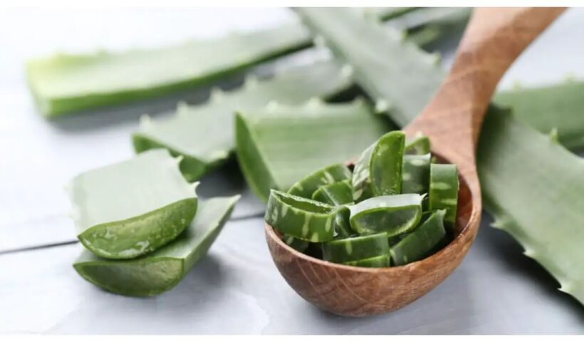 n658304333174341370150390489e20da4cf567fe3378467fd999c3a88721a788defdb1fefc5aaef172827f