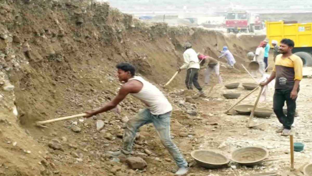 1200 675 24011786 thumbnail 16x9 pick