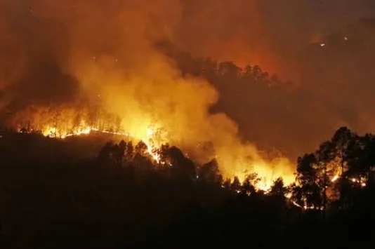 Screenshot 20250428 152216 Google