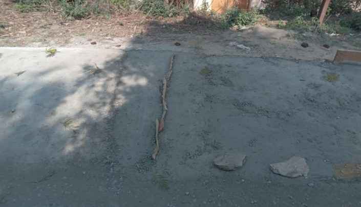 Screenshot 2025 0402 083332