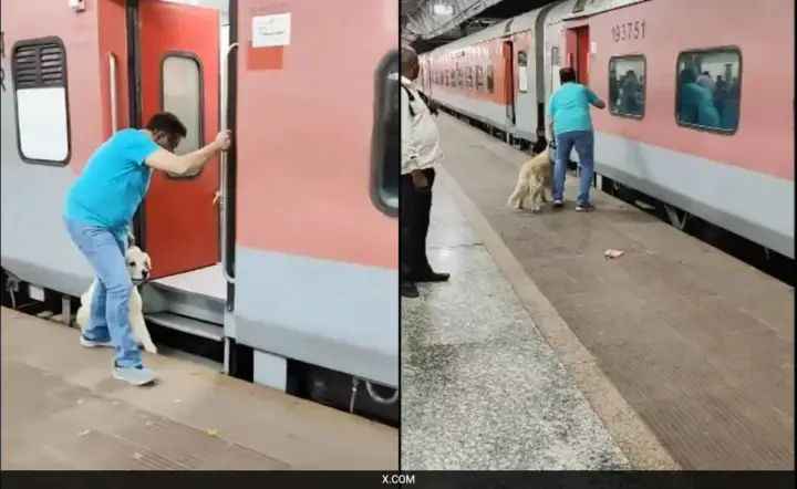 n65873454117436720378105b1ae5d8f0f10678cbf77c01b0b22527087e620b1fdcd6198c7fb3b1f02ae897