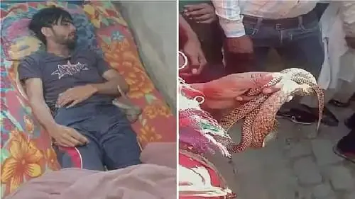 n6601985931744609273240bf5074b120ccf3a67cce7586dd933b02276d897d795626db9b84cfcb17b98bfa