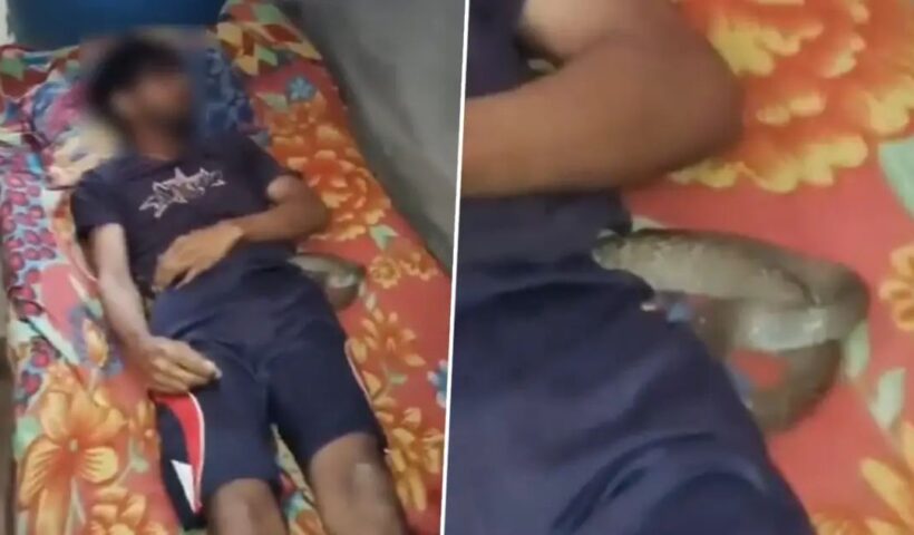 n660619445174488154643016feef0428287e298610182f7325e43533164ba25a4f954ae1ebe182af6b207b