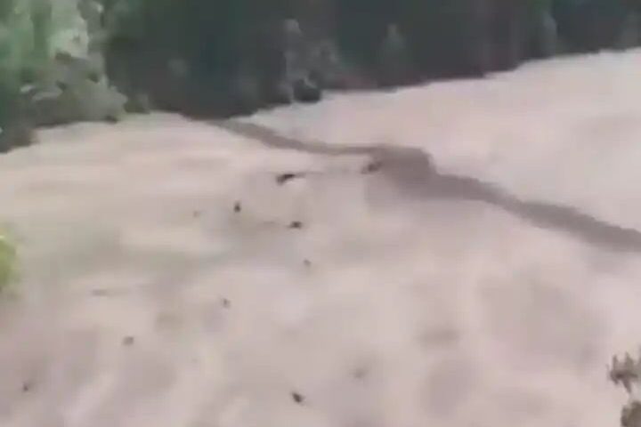 n66192962117457246101134813bac59ca19cefdc07d2c50ef74081a962a3e19d7aba83aa655f90eba9cff8