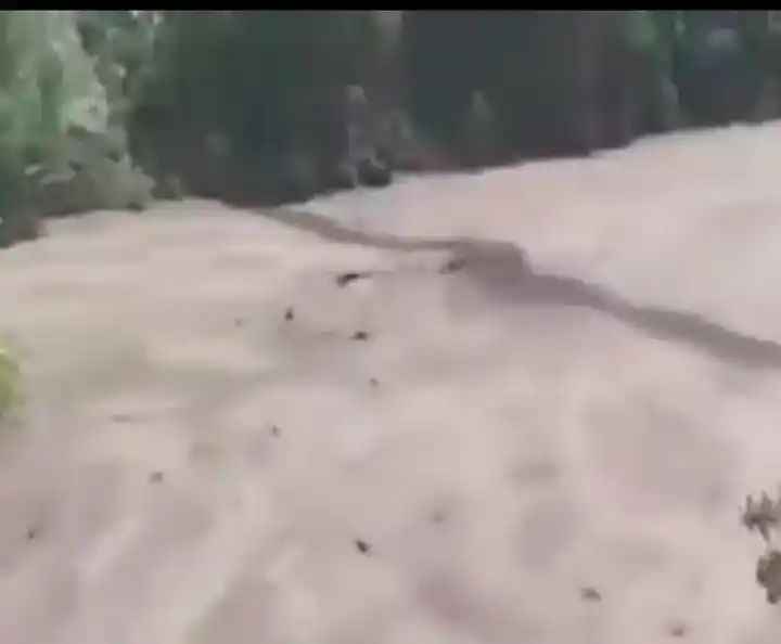 n66192962117457246101134813bac59ca19cefdc07d2c50ef74081a962a3e19d7aba83aa655f90eba9cff8