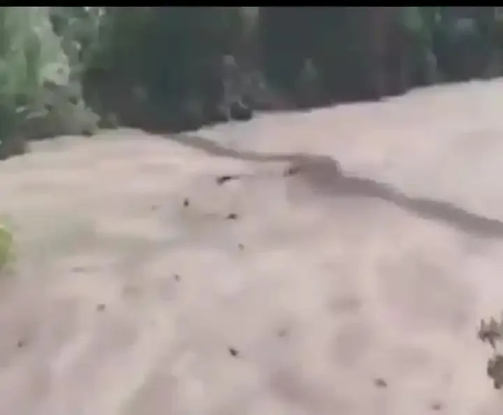 n66192962117457246101134813bac59ca19cefdc07d2c50ef74081a962a3e19d7aba83aa655f90eba9cff8