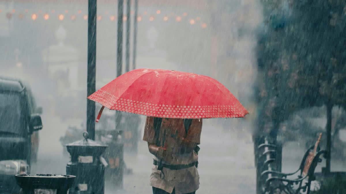 1200 675 24093768 thumbnail 16x9 pic n