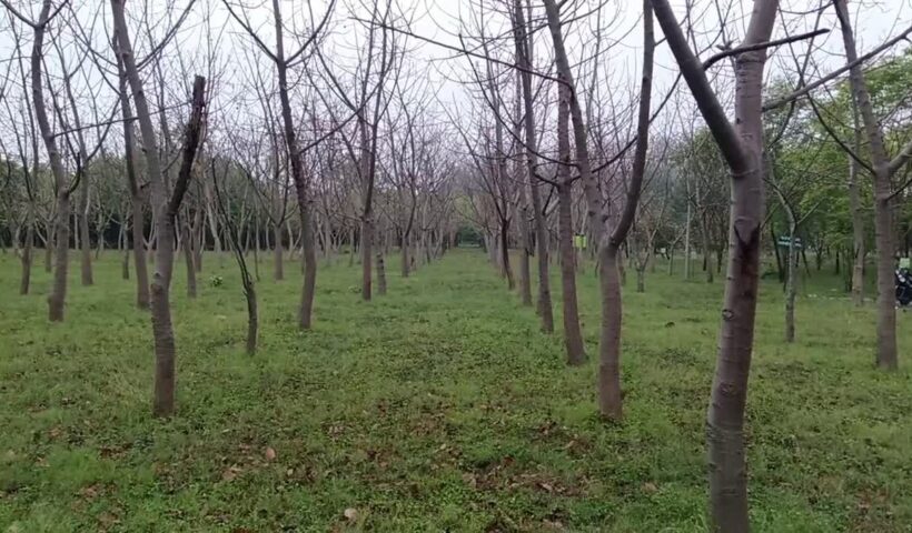 1200 675 24117427 thumbnail 16x9 gh