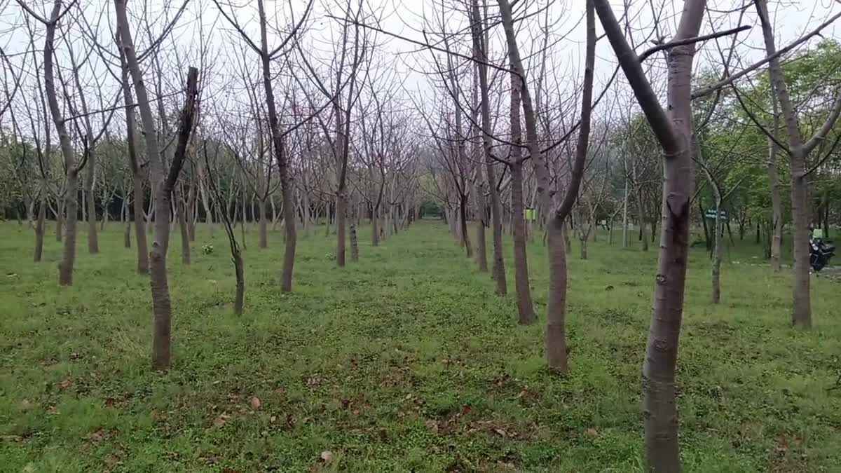 1200 675 24117427 thumbnail 16x9 gh