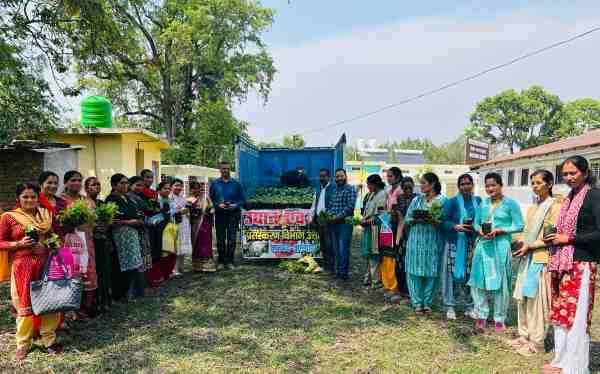 Almora - Saplings of hybrid vegetables distributed to women of 6 cooperatives