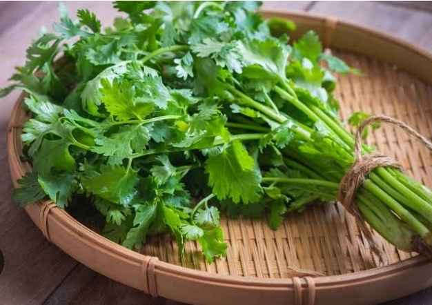 Screenshot 20250502 155049 Google