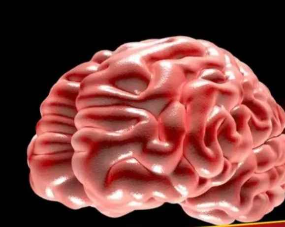 Screenshot 20250515 162357 Dailyhunt