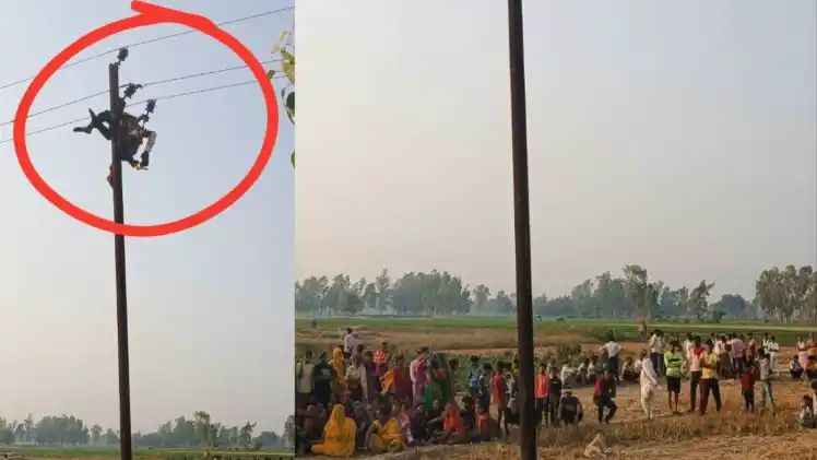 n66272578317462613095086a7d8da4bca2ebad9e4983346527184b38e2fc6cac29807323c95e6c9915e0f7