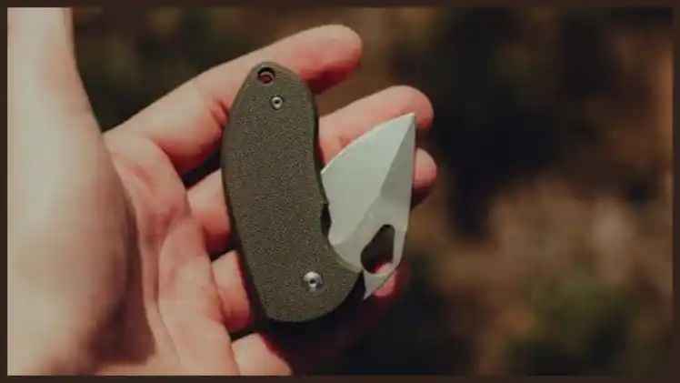 n662978058174640963475283c785fdb81dfceec4245df2355b3ad87115dc4589136c8a28c4df8777558335