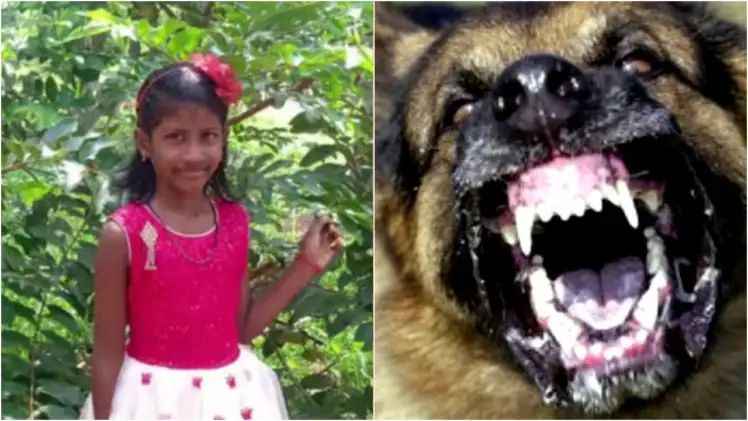 n6630221251746437182206d7aa65e0fc088a269d4ff8a15ec671af204f5f39f85af59cff17494a5f80992d