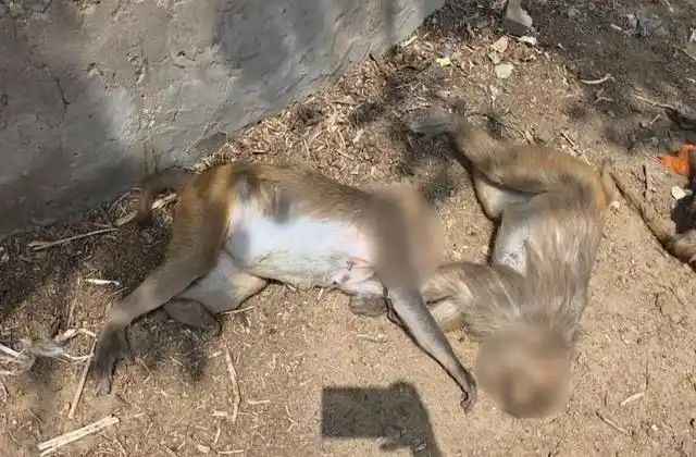 n663121340174649808425381e435ca3b655687648664440f1e906110e265787e5aaecb6b2a67782ff3ee61