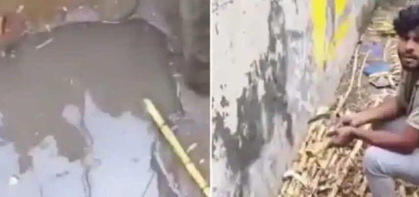 n6631401451746514127254e8096c2561352ce864dad9f10ad7d9f6c9db3f65df7a219d64401ce7201888a0