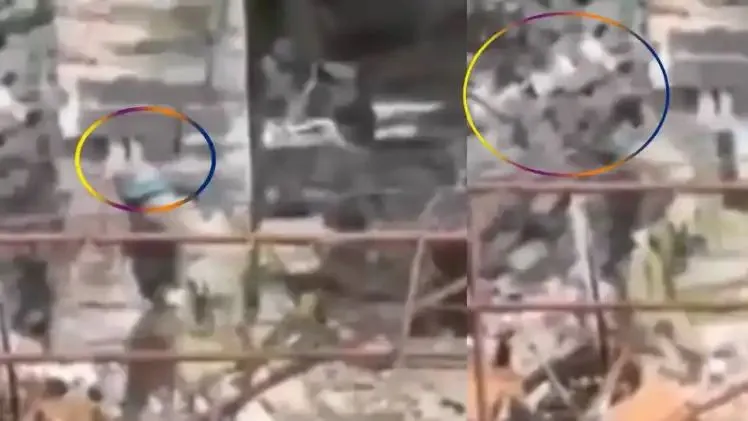 n6638410031746932831203c95e8f1f755cdfafe260304a76eecf3db98a65ab76fe7ec388122c88bcda5df0