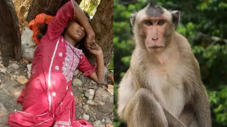 n66409735517471275181269a57cf66057d314d620d553480590c36e0f798e09793744d47a2840338ca0e76