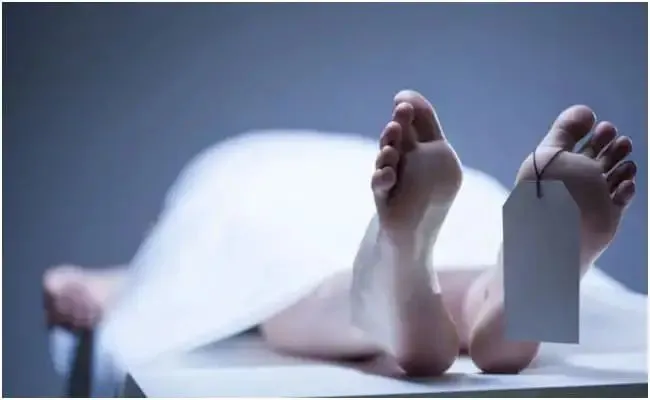 n6644751311747362513610a3b201847d2f66ed0b4cc35a9d59b905253dfac35da785724793754af3a43b42