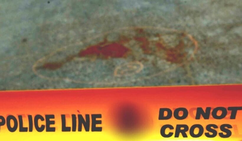 1200 675 24609121 thumbnail 16x9 mamam