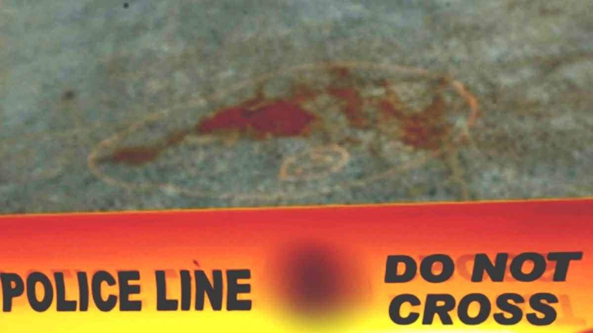 1200 675 24609121 thumbnail 16x9 mamam