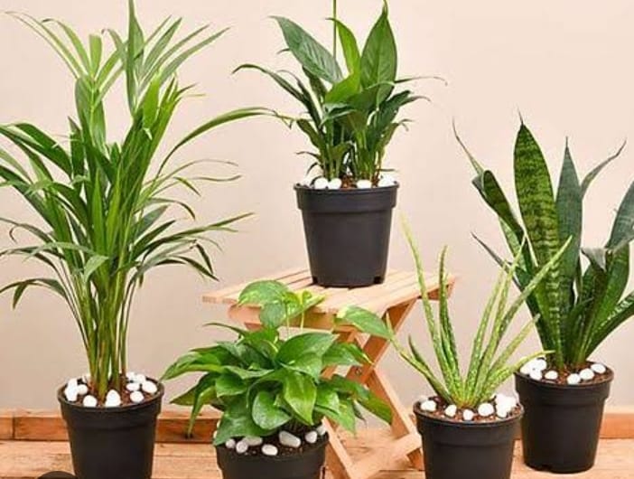 Screenshot 20250715 122752 Google