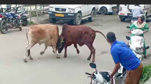 Screenshot 2025 0721 191442