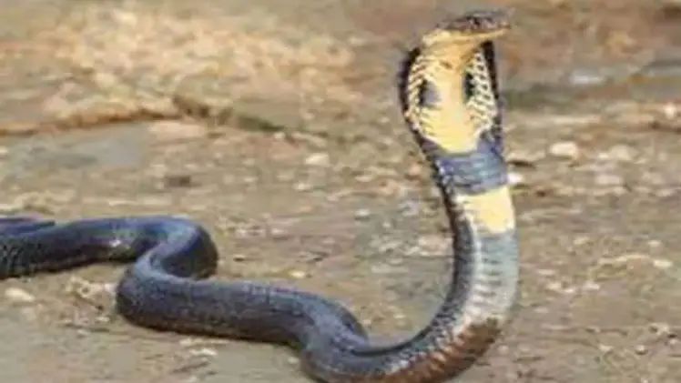 n670970353175152683726359ff870e480e22593e61f8d8393ac1382b4c82f5254c9002f0f0936646168362