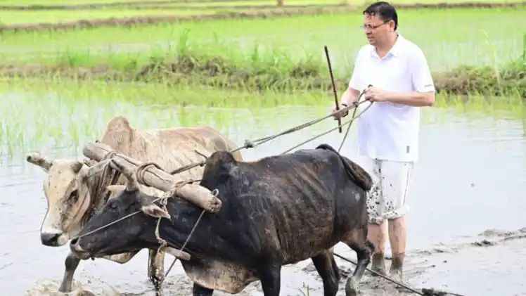 n67125741917516984739658315af64ab7f2fc278e8f61957203ccd09ac477f76533e84f159e1b622f63aed