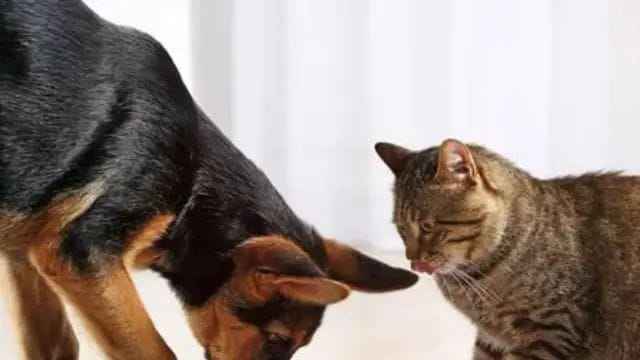 n67248300217524862656887ef17f26964f6e81f7943e50f8fed4d7206fa42742e751347428172f18c26fe1