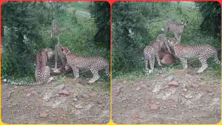 n6725259831752566219644c467f42a045ecca2aa4c582257254470a014122162c885c563e4a9d57ced2484