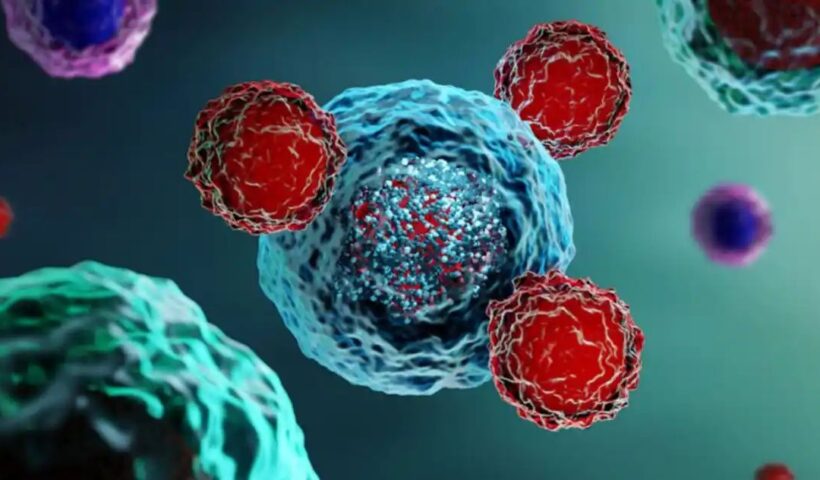 n67314733717529286758529de5ba13b6c0968e76c728d93d2bc9cd75232d08f85a192d2f57d21a9c14ec74