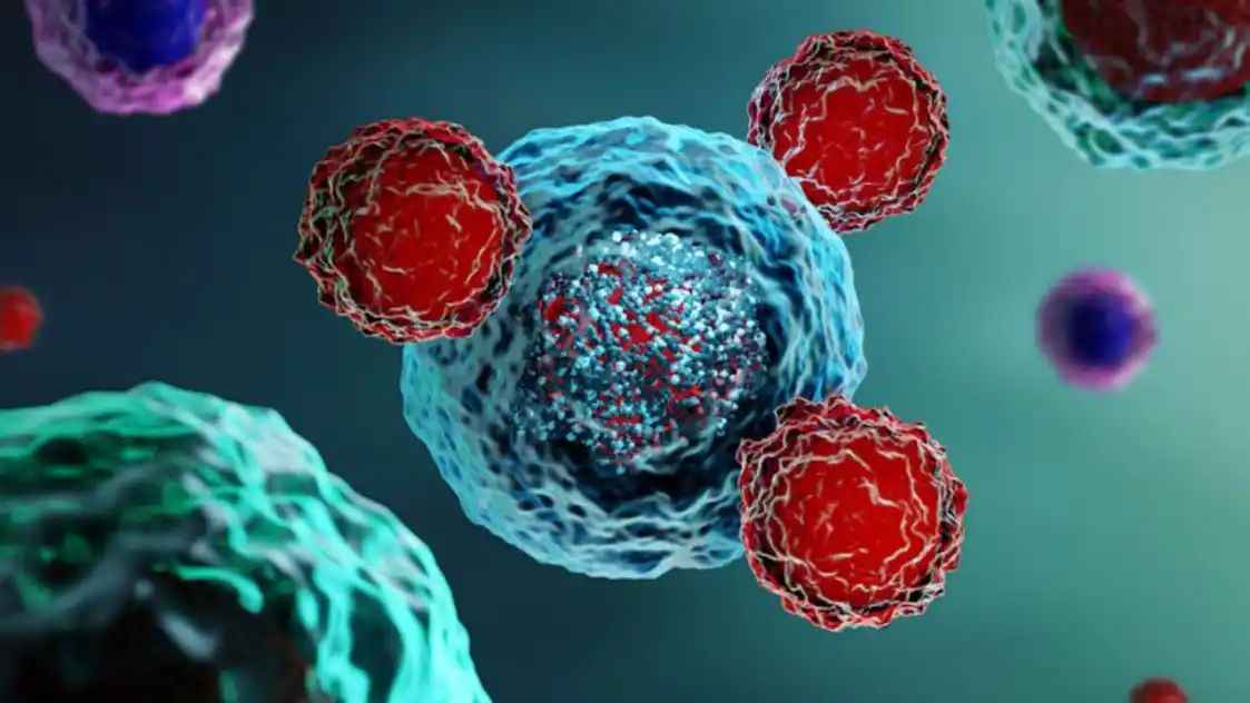 n67314733717529286758529de5ba13b6c0968e76c728d93d2bc9cd75232d08f85a192d2f57d21a9c14ec74