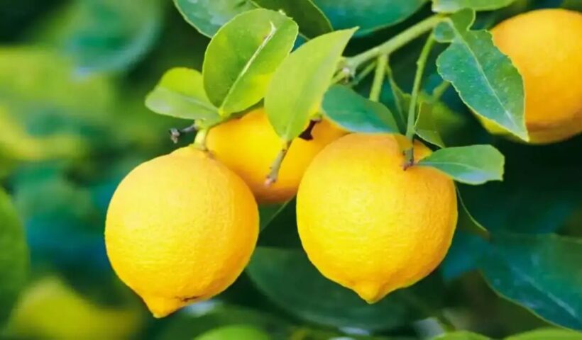 n67319847817529147929725533e21ae53b05a1b20de16e3eafff9f825125a7982538639086c338cf6c31a1