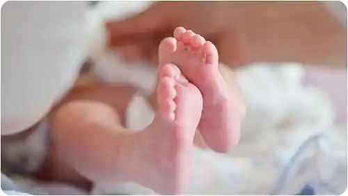 n673957490175337942792006d6f586e20254fed20856c6a7ef544a15b50a30dd9fd431c05c106d486fc99f