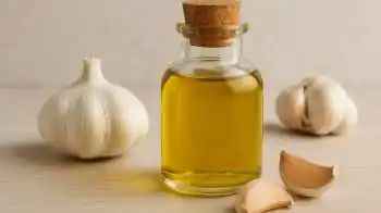 n67415167817535262023512ec55cc0b8ed73c67a41b891accfd03bbbc8ace5aa7afb30872f1ad834537d2e