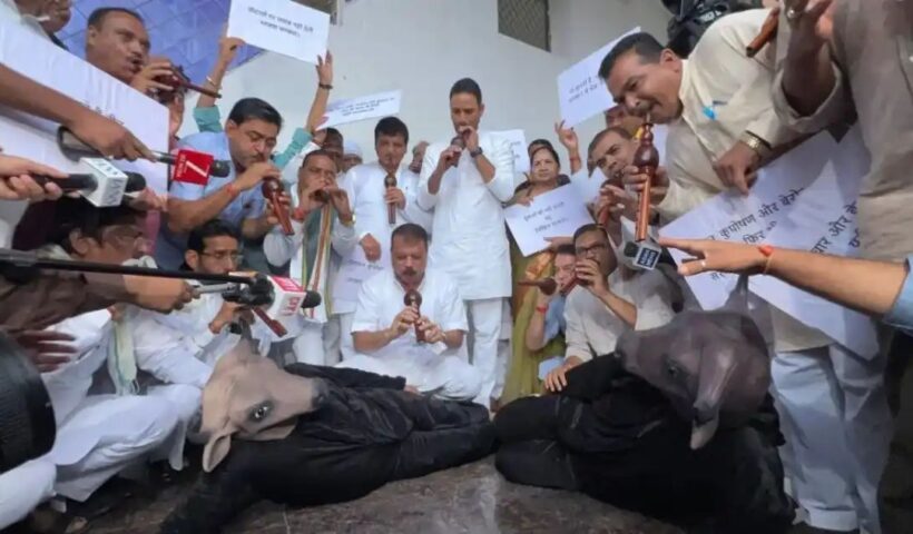 n674550844175379597605703e560bf22720d8e70ea7c1468861978b9bfbbd7ee0e53d769ace721c6f2ef0d