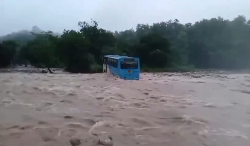 1200 675 24768109 thumbnail 16x9 hgh aspera