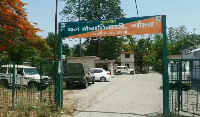 1200 675 24809325 thumbnail 16x9 bird